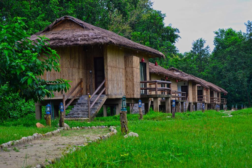 Temple Tiger Green Jungle Resort Kawasoti Pokój zdjęcie