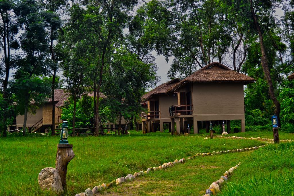 Temple Tiger Green Jungle Resort Kawasoti Zewnętrze zdjęcie