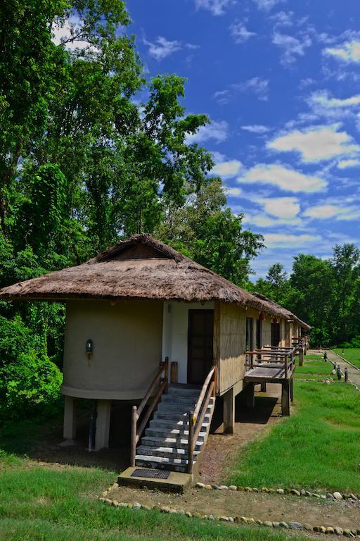 Temple Tiger Green Jungle Resort Kawasoti Pokój zdjęcie
